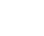 vipIcon